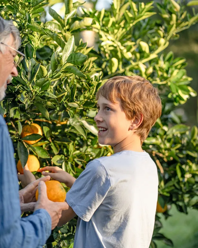 An older man and a child picking fruit together in a garden